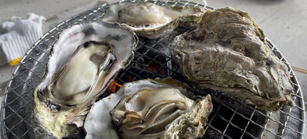 Sea and Ginjo-Sake Adventure for Oyster Lovers