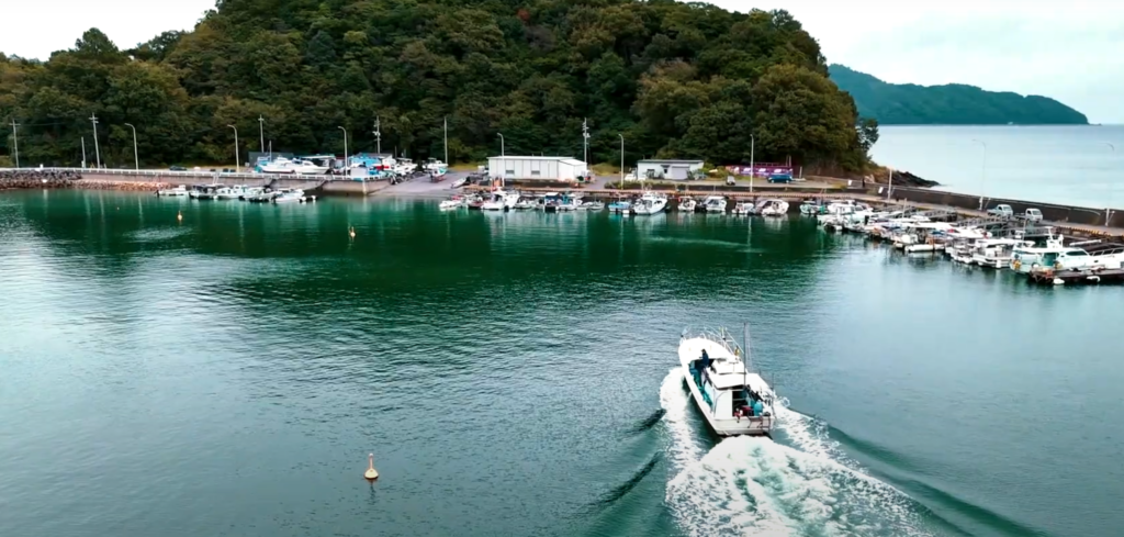 Setouchi Fishing & Culinary Adventure